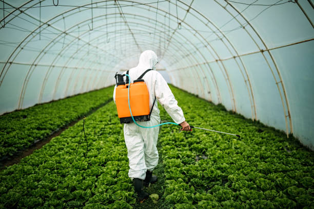 Best Best Pest Control Companies  in Savannah, TX