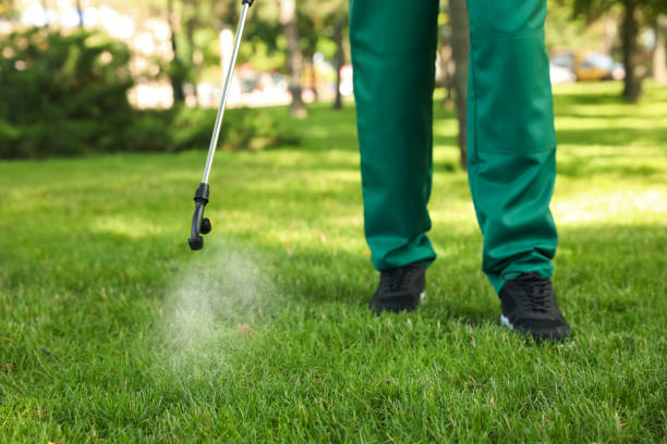 Best Flea Control Services  in Savannah, TX