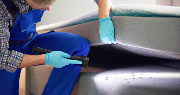 Best Pest Prevention Services  in Savannah, TX