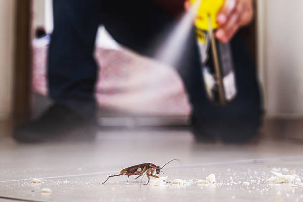 Professional Pest Control in Savannah, TX