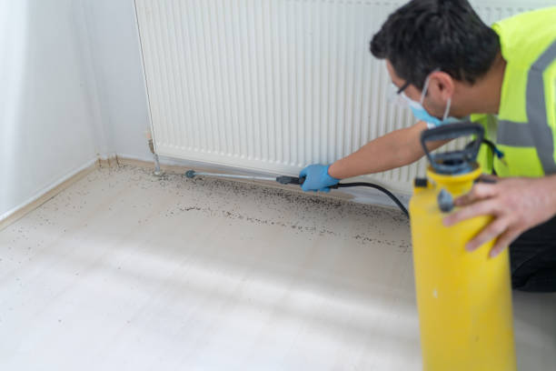 Pest Prevention Services in Savannah, TX